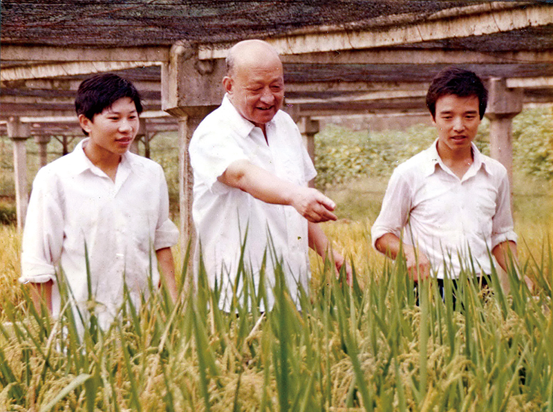 80年代刁操全教授指导学生实习